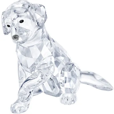 Swarovski Labrador Mother 5399004 - Core