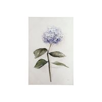 Hydrangea Canvas Series