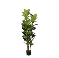 Oak Tree Faux Plant 160cm/ 63"