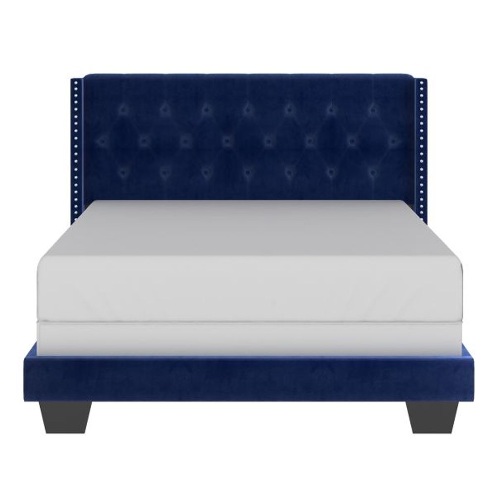 Gunner 60" Queen Bed in Blue Velvet