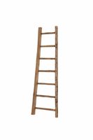 D-Bodhi Small Ladder