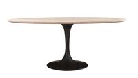 Aspen Oval Dining Table with Metal Base