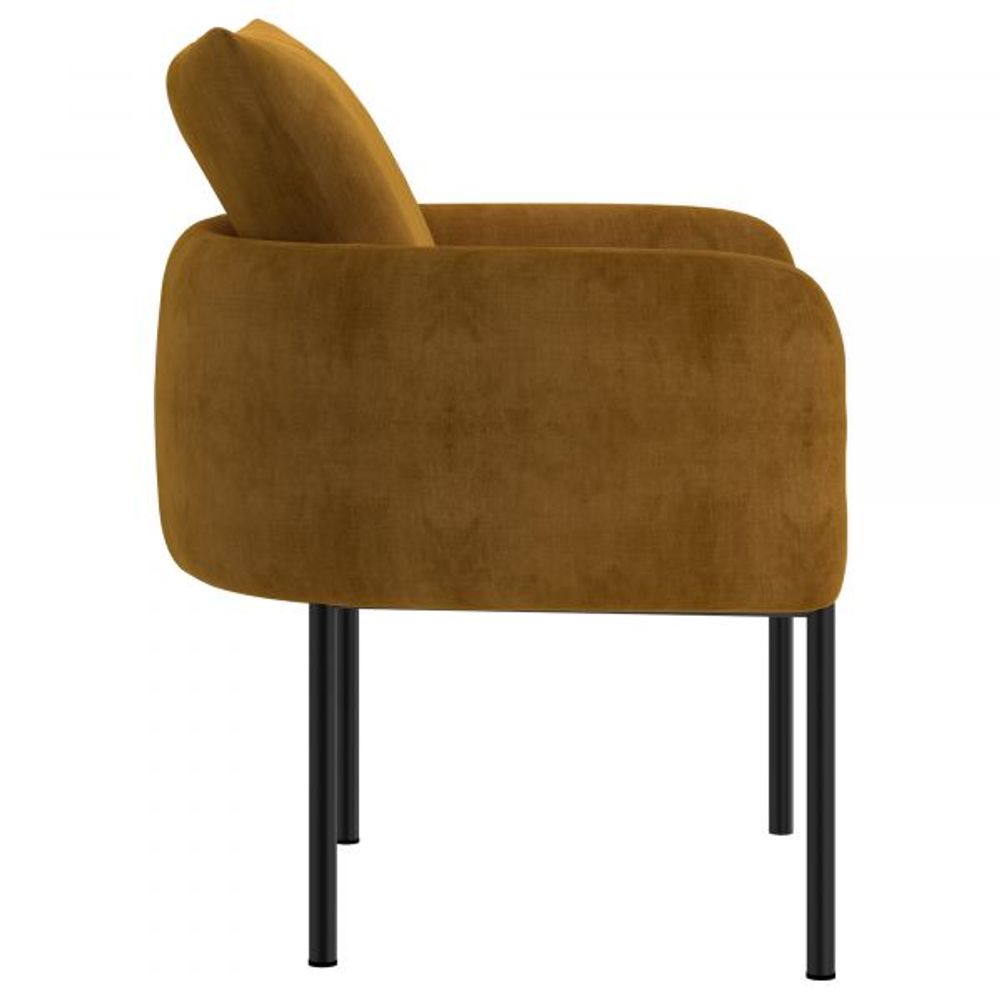 Petrie Accent Chair in with Black Leg