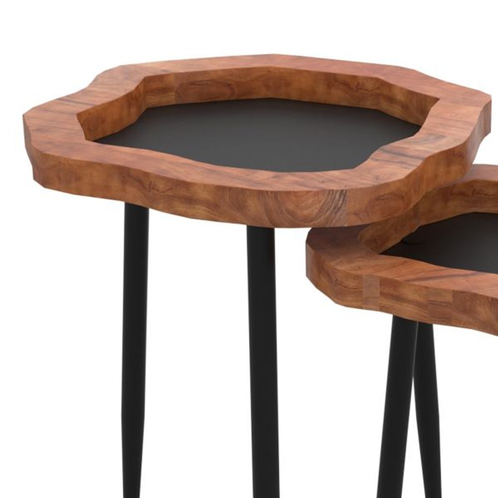 Disha 2pc Accent Table Set in Black