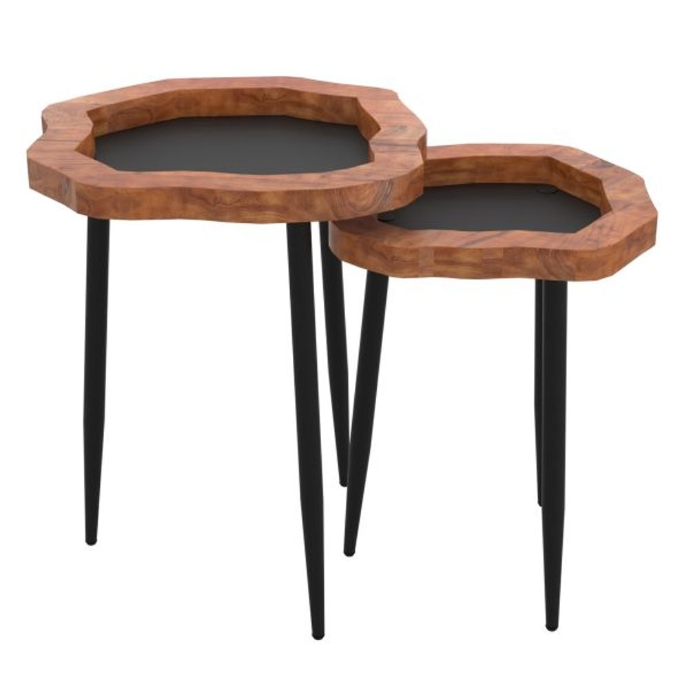 Disha 2pc Accent Table Set in Black