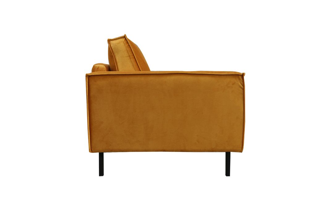 Echo Velvet Loveseat - Golden