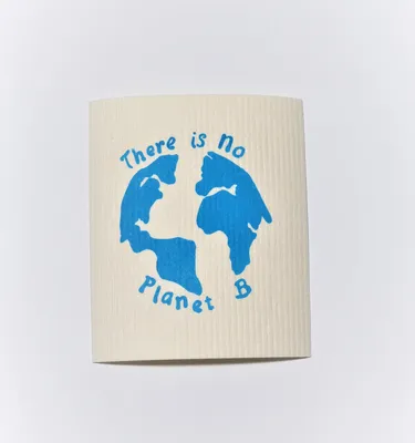 There is no Planet B Swedish Dishcloths - Earth Warrior Lifestyle