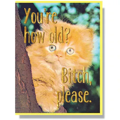 You're How Old?! / Card - Smitten Kitten