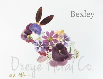 Bexley Bunny / Print - Oxeye Floral Co