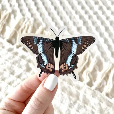 Brown Swallowtail Butterfly / Sticker - Elyse Breanne Design
