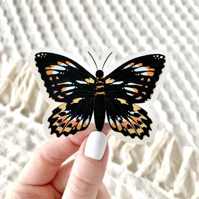 Clear Malachite Butterfly / Sticker - Elyse Breanne Design