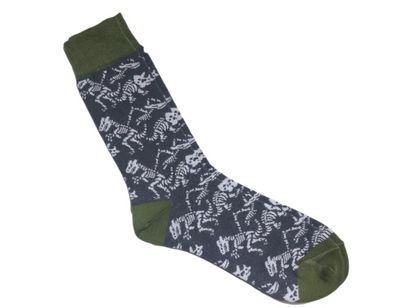Dino Fossil Mens Dress Socks - Adesso