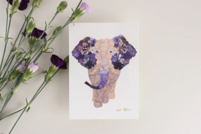 Polly Elephant / Print - Oxeye Floral Co