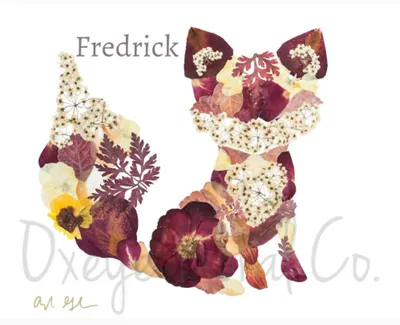Fredrick Fox / Print - Oxeye Floral Co