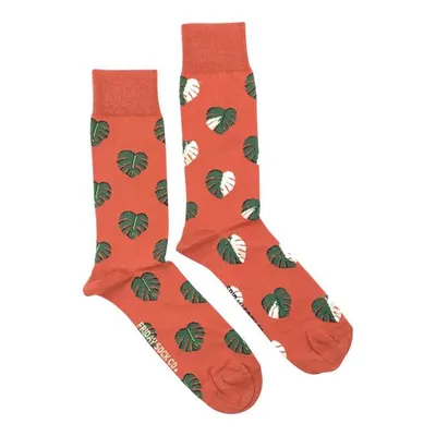 Monstera Leaf Socks - Friday Sock Co