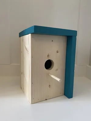 Colourful Teal Pine Birdhouse - Douglas Rose Woodworking