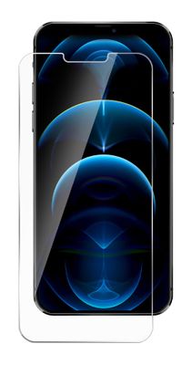 ZIZO Tempered Glass Full Glue iPhone 12 Pro Max