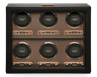 Axis 6 Piece Watch Winder 