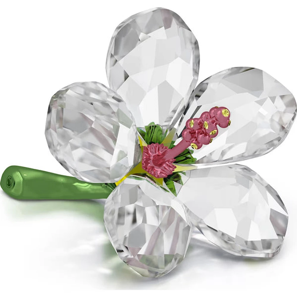 Swarovski - Florere Hibiscus, Small 5690534