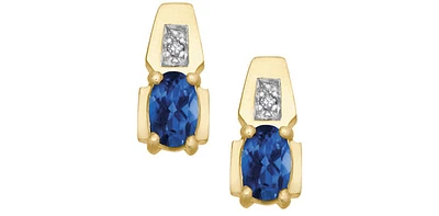10K Yellow Gold Sapphire & Diamond Earring