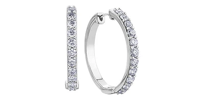 10K White Gold 2.00cttw Diamond Hoop Earrings