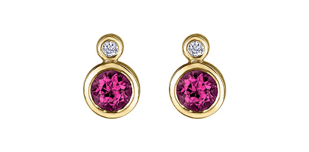 10K Yellow Gold Ruby and 0.01cttw Diamond Earrings