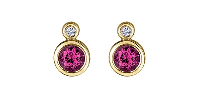 10K Yellow Gold Ruby and 0.01cttw Diamond Earrings