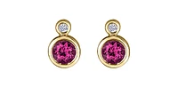 10K Yellow Gold Ruby and 0.01cttw Diamond Earrings