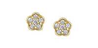 10K Yellow Gold cttw Diamond Stud Earrings