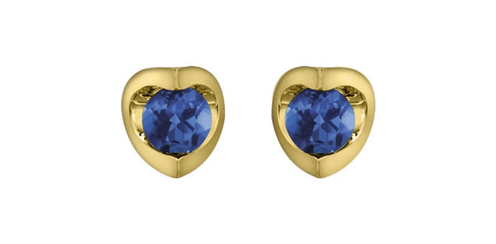 10K Yellow Gold Sapphire Earring