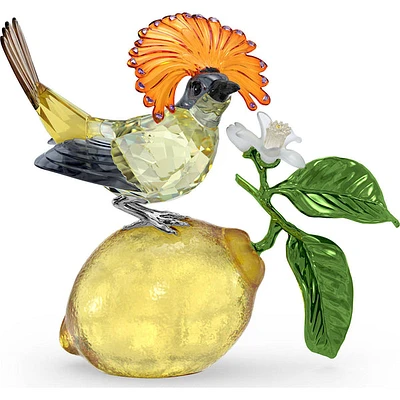 Swarovski Idyllia Royal Flycatcher - 5651811