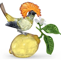 Swarovski Idyllia Royal Flycatcher - 5651811