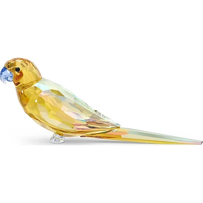 Swarovski Jungle Beats: Yellow Parakeet - 5619217