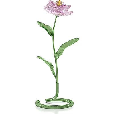 Swarovski Florere: Peony - 5668065