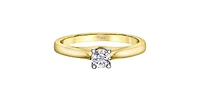 14K Yellow & White Gold 0.25cttw Canadian Diamond Engagement Ring - / 4.5