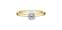 18K Yellow Gold 0.75cttw Round Brilliant Cut Canadian Diamond Hidden Halo Engagement Ring - / White