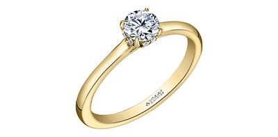 18K Yellow Gold 0.55cttw Round Brilliant Cut Canadian Diamond Hidden Halo Engagement Ring - / White