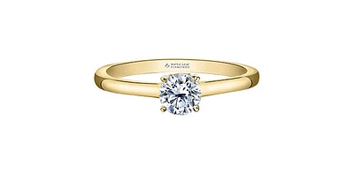 18K Yellow Gold 1.05cttw Round Brilliant Cut Canadian Diamond Hidden Halo Engagement Ring - / White