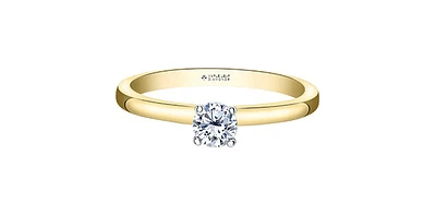 18K Yellow Gold 0.33cttw Round Brilliant Cut Canadian Diamond Hidden Halo Engagement Ring - / White