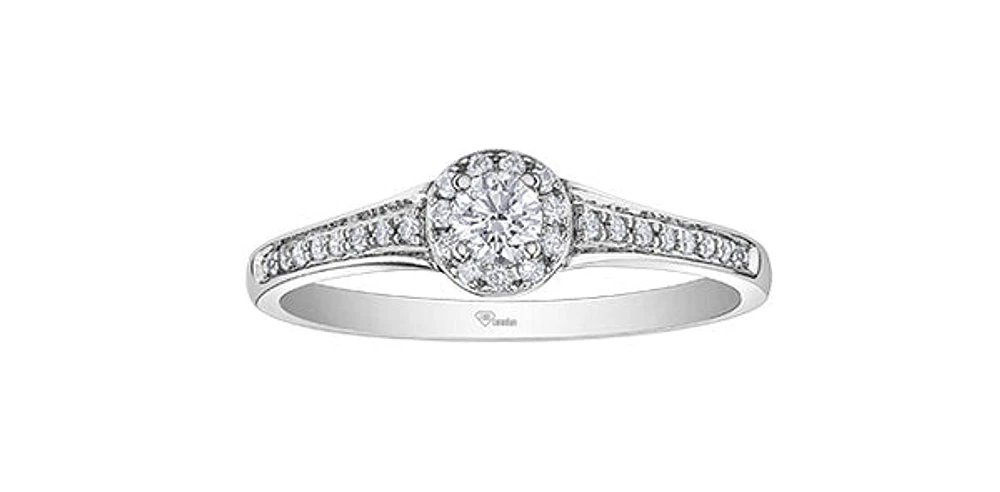 10K White Gold 0.25cttw Canadian Diamond Engagement Ring, Size 6.5