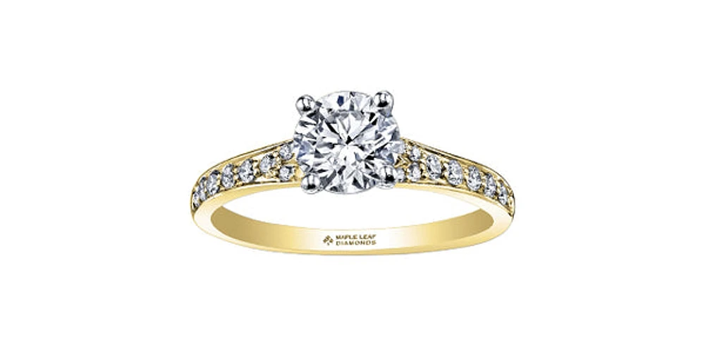 18K Yellow Gold 0.50cttw Round Brilliant Cut Canadian Diamond Engagement Ring - / 14K White