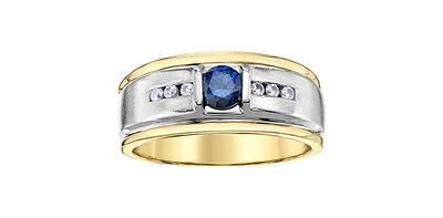 10K Yellow Gold Sapphire and Diamond Gents Ring