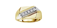 10K Yellow Gold 0.20cttw Diamond Gents Ring, 10