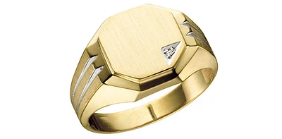 10K Yellow Gold 0.01cttw Diamond Gents Signet Ring, 10