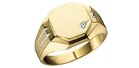 10K Yellow Gold 0.01cttw Diamond Gents Signet Ring, 10