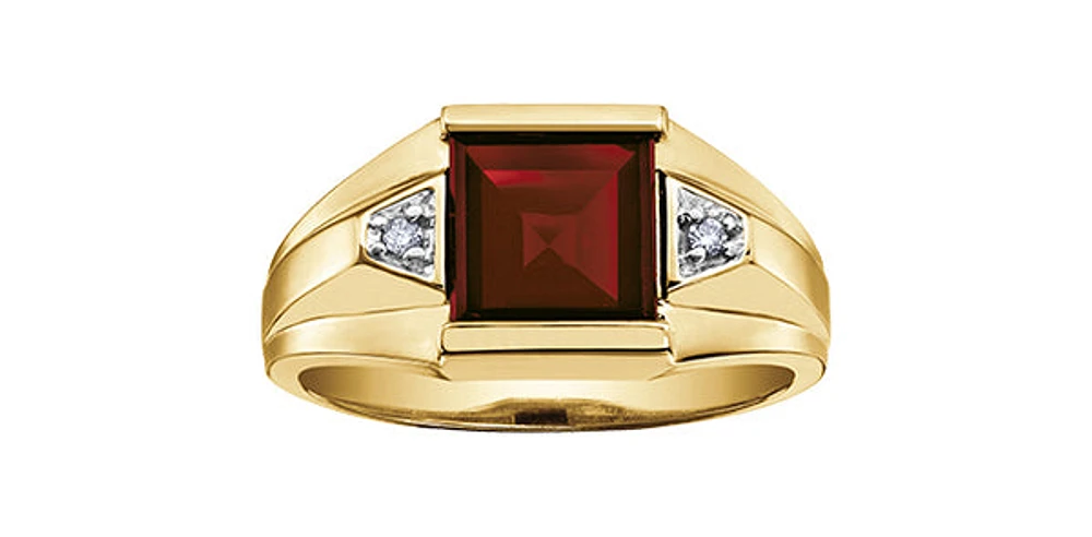 10K Yellow Gold 3.0cttw Genuine Garnet & 0.03cttw Diamond Gents Ring, 10 - /