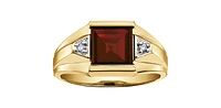 10K Yellow Gold 3.0cttw Genuine Garnet & 0.03cttw Diamond Gents Ring, 10 - /
