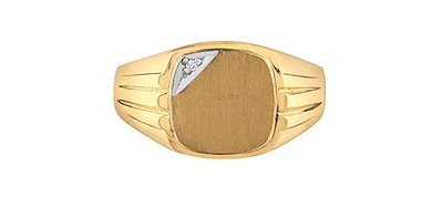 10K Yellow Gold 0.01cttw Diamond Men's Signet  Ring, size 9