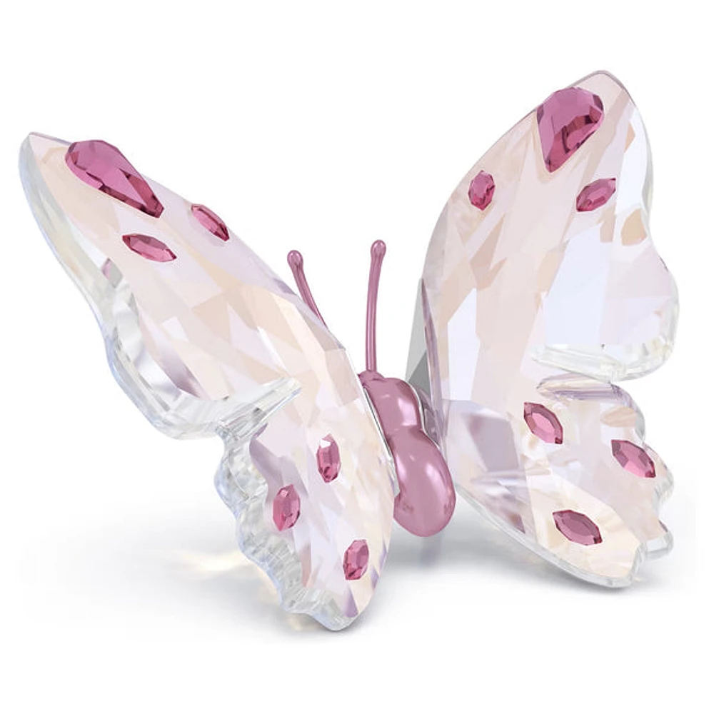 Swarovski - Idyllia Butterfly, Small 5691959