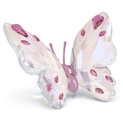 Swarovski - Idyllia Butterfly, Small 5691959